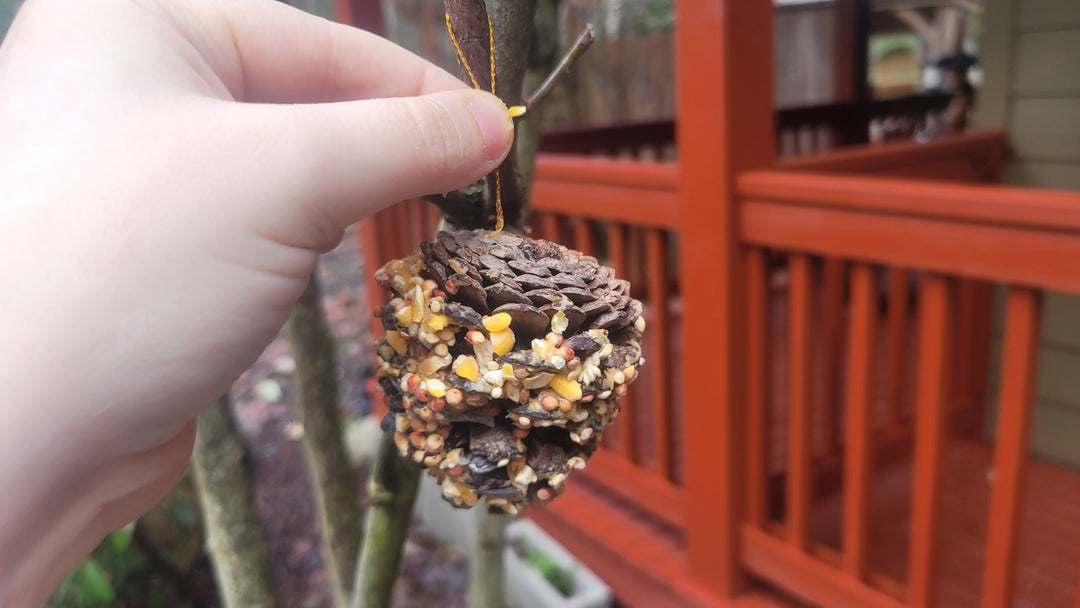 How to Make a Simple Pinecone Bird Feeder